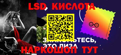 прущие грибы Кандалакша