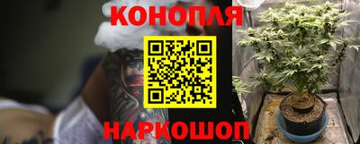 наркотики Камышлов