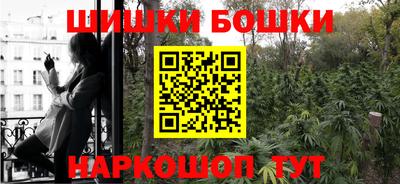 прущие грибы Кандалакша
