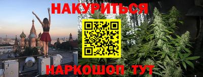 прущие грибы Кандалакша