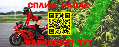 прущие грибы Кандалакша