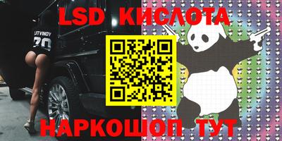 прущие грибы Кандалакша