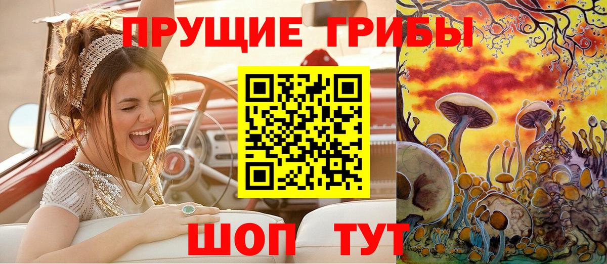 Галлюциногенные грибы ЛСД  купить  цена  Иркутск  Вход с VPN  Псилоцибиновые грибы Cubensis 